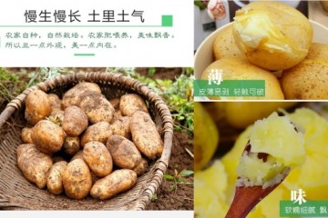 阳光威宁 天生好物丨“向阳而生”的威宁特色产业